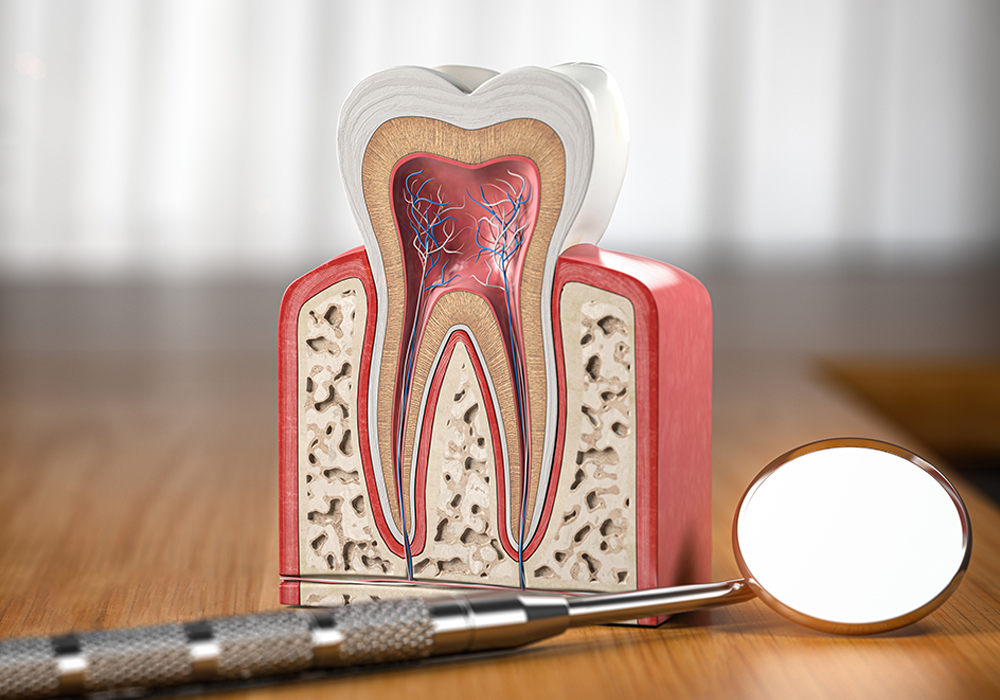 根管治療（歯内療法）